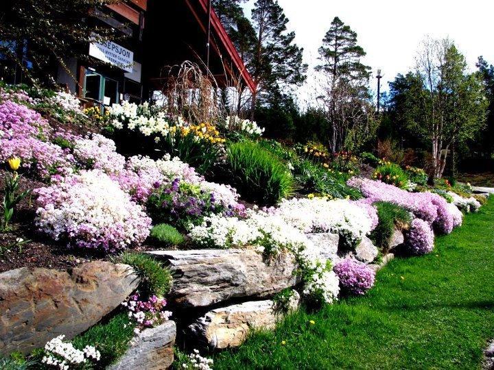 Trolltun Hotel & Hytter Думбос Екстер'єр фото